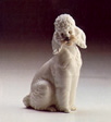 FRENCH POODLE